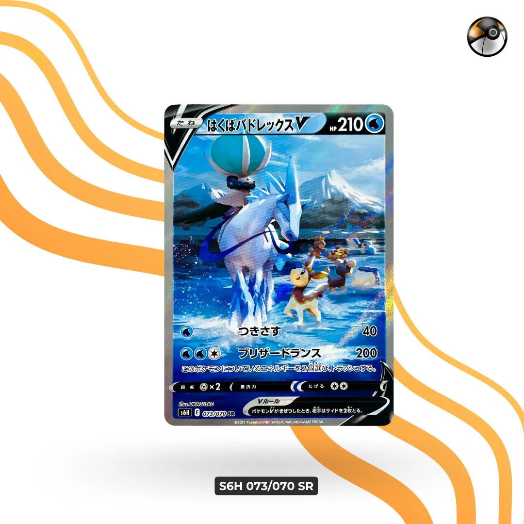 S6H 073/070 SR